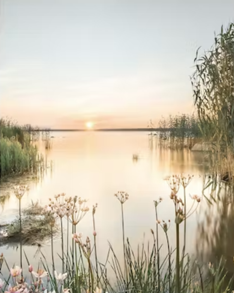 Poster med naturmotiv. Solnedgång vid vattnet. Ljusa färger. Poster natur